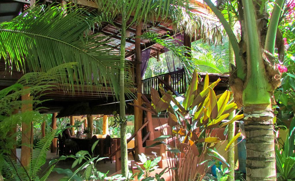 Caribe Town Bungalows Puerto Viejo de Talamanca المظهر الخارجي الصورة
