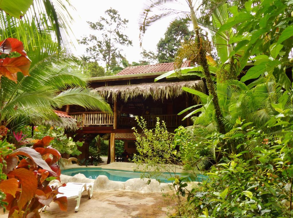 Caribe Town Bungalows Puerto Viejo de Talamanca المظهر الخارجي الصورة