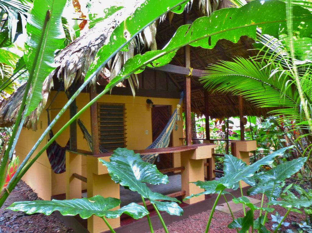 Caribe Town Bungalows Puerto Viejo de Talamanca الغرفة الصورة