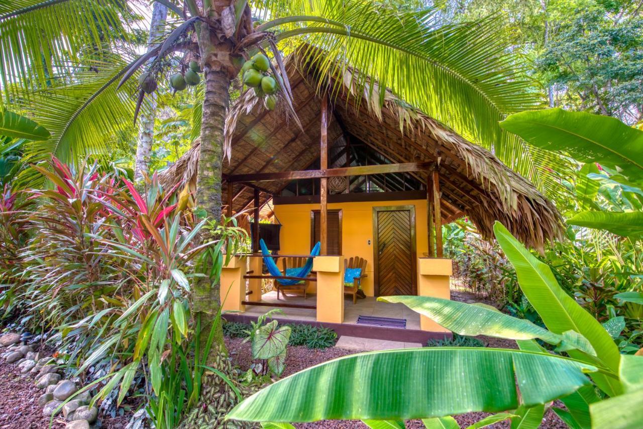 Caribe Town Bungalows Puerto Viejo de Talamanca المظهر الخارجي الصورة