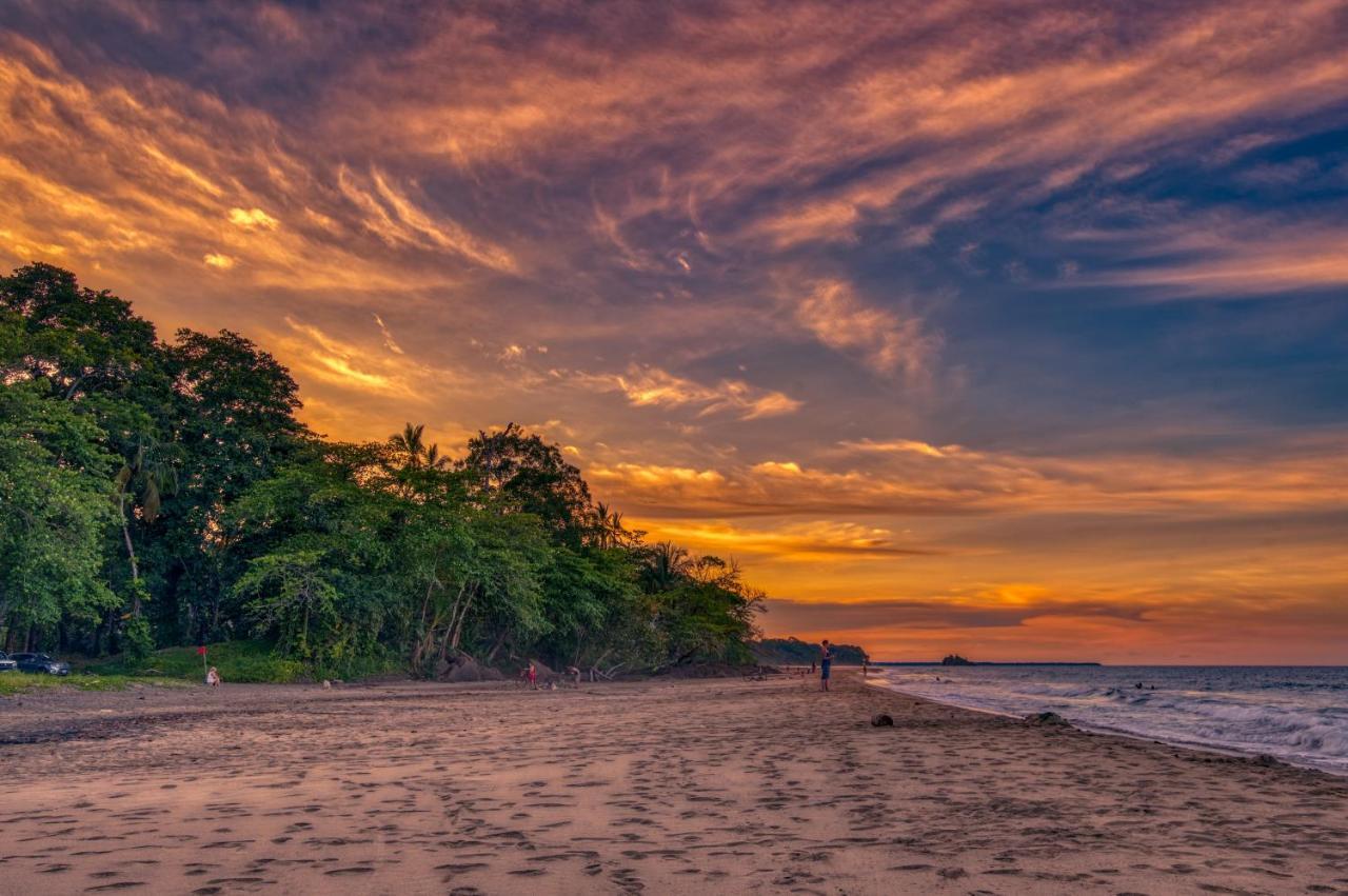 Caribe Town Bungalows Puerto Viejo de Talamanca المظهر الخارجي الصورة