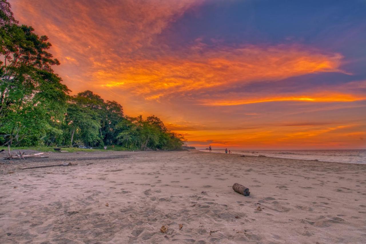 Caribe Town Bungalows Puerto Viejo de Talamanca المظهر الخارجي الصورة