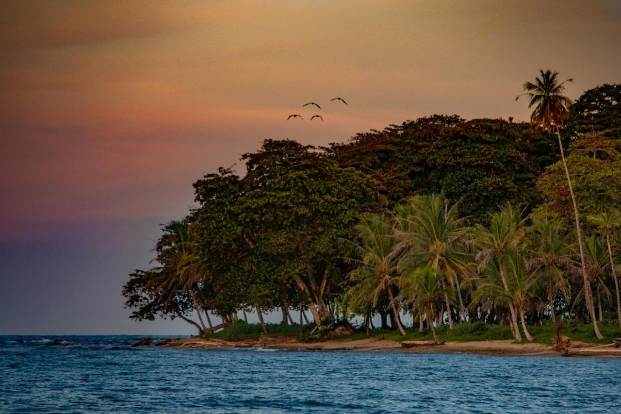 Caribe Town Bungalows Puerto Viejo de Talamanca المظهر الخارجي الصورة